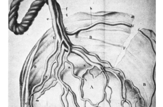 Пуповина на воске при гадании